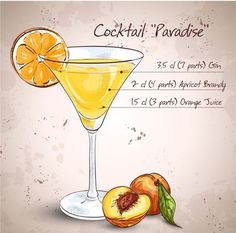 a cocktail with orange slices and garnishes on the side, labeled cocktail paradise