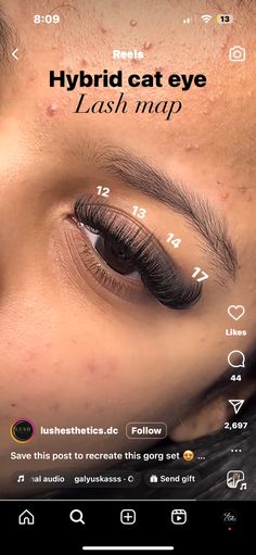 Lash In Layers, Hybrid Set Mapping, Hybrid Cat Eye Lash Map, Hybrid Cluster Lash Map, Fox Eye Lash Map, Hybrid Lash Map, Cat Eye Lash Map, Hybrid Lash Extensions Map