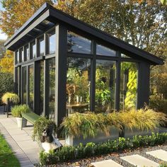 a black and white dog sitting in front of a glass house with lots of windows