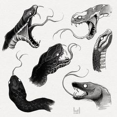 several snakes with their mouths open and one snake's head in the air, while another