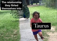 Funny Taurus, Taurus Journal, Taurus Things, Taurus Energy, Virgo Memes