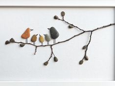 a group of birds sitting on top of a tree branch next to rocks and pebbles