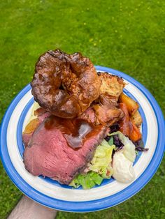 a hand holding a blue and white plate with meat, vegetables and bread on it