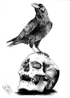 a drawing of a crow sitting on top of a skull with a raven perched on it's head