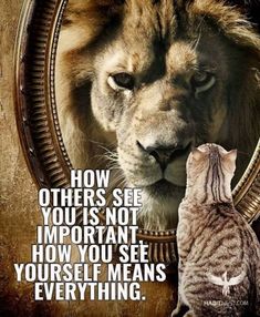 a lion and a cat looking at each other in a mirror with the caption how others see you is not important, how you see yourself means everything