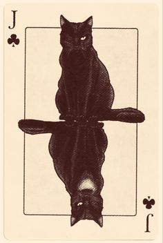 a black cat sitting on top of a playing card