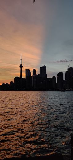 a bird flying over the water in front of a cityscape at sunset or dawn