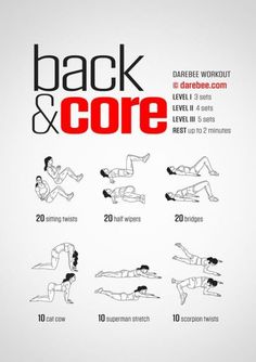 the back and core workout poster