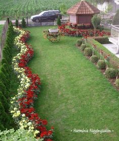 the garden is full of flowers and shrubs