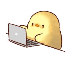 an image of a chick using a laptop