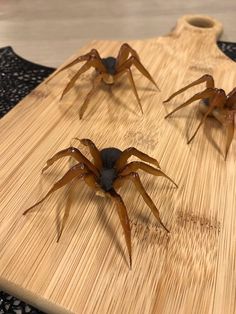 four spider figurines sitting on top of a wooden board