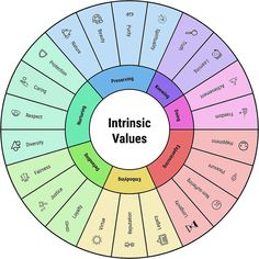 a circular diagram with the words intrusic value