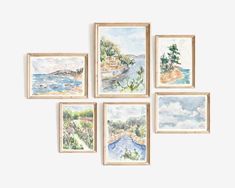 six watercolor paintings hanging on the wall