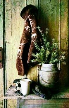 a potted plant sitting on top of a wooden shelf next to a coat rack