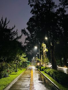 an empty street at night with lights on and trees lining the road in the foreground