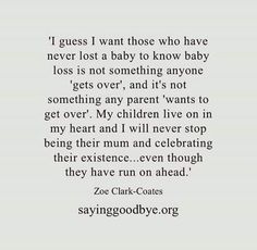 an image of a quote that reads i guess i want those who have never lost a baby