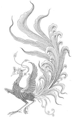 a black and white drawing of a peacock