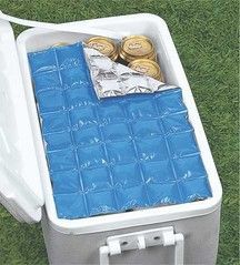 a cooler with some coins in it on the grass