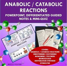 an activity booklet for the anabolicic / catabolic reactions powerpoint, differentiated guided notes & mini - quiz