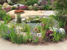 a garden with lots of plants and rocks