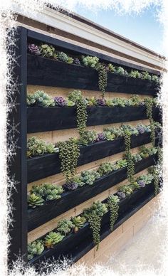 a wall mounted planter with succulents on the side of a building