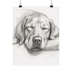 a black and white drawing of a dog sleeping on the floor with its eyes closed