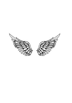 two black and white wings are shown on a white background with the words angel written in it