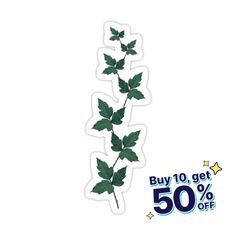 a sticker with the words buy 10 get 50 % off and a plant on it