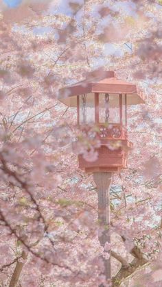 a lamp post with pink flowers in the background