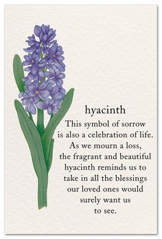 a purple flower with the words hyacinh on it and an image of blue flowers