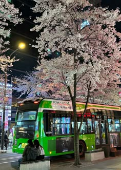 a green bus parked next to a tree with white flowers