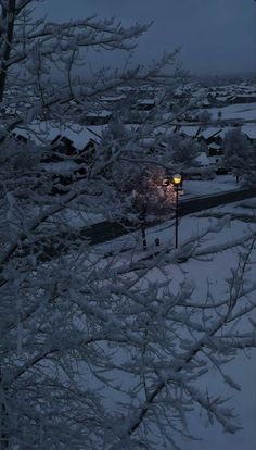 a street light in the middle of a snow covered field with trees and houses behind it