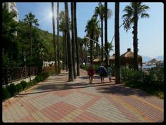 two people walking down a path between palm trees and the ocean in the background,