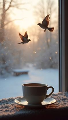 two birds flying over a cup and saucer in front of a snow covered window