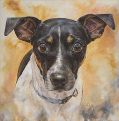 a painting of a black and white dog looking at the camera with an orange background