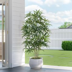 a potted plant sitting on top of a cement floor next to a white door