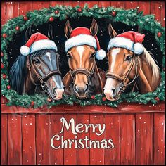 two horses wearing christmas hats are looking out from behind a wooden fence with holly wreaths