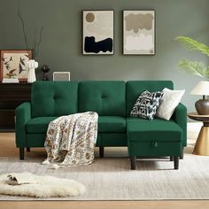 a green couch in a living room with two pictures on the wall and a white rug