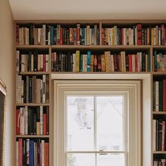 there is a window with many books on the shelves in front of it and a cat laying on the windowsill