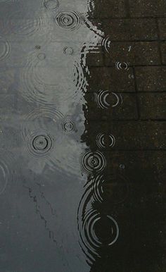 the umbrella is upside down on the wet ground by the water's edge,