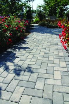 a brick walkway with flowers and trees in the background