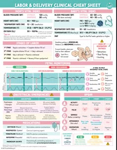 an info sheet with instructions on how to use the lab and deliver medical care sheets