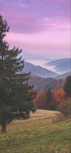 a field with trees and mountains in the background