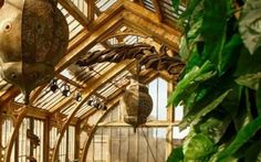 the inside of a greenhouse with lots of green plants and hanging pots on the ceiling