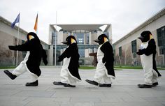 four penguins are walking in the same direction