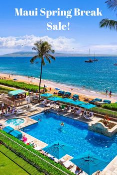 an aerial view of the pool and beach