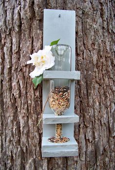 a bird feeder hanging from the side of a tree next to a white flower on top of it