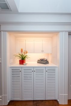 a room with white cabinets and a potted plant