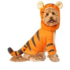 a small dog dressed up as a tiger