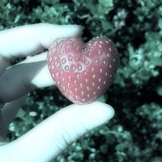 a hand holding a strawberry shaped like a heart